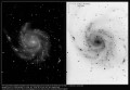 M101 galaktika ir supernova