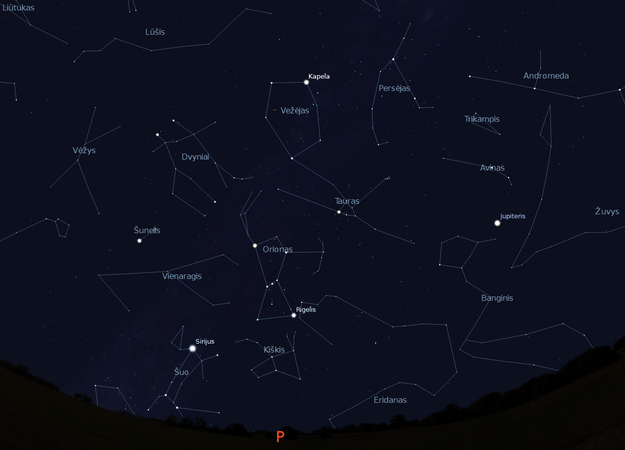 Pietinės dangaus pusės žvaigždynai, vasario 15 d., 20 val., „Stellarium“ nuotr.
