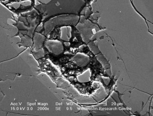 Marso meteorite rasta į ląstelę panaši ovalinė struktūra | ©Elias Chatzitheodoridis, Sarah Haigh and Ian Lyon nuotr.