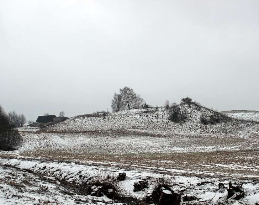 Belezų kaimo piliakalnis, žvelgiant iš šiaurės (nuo Toleikių senovės gyvenvietės) | V. Vaitkevičiaus nuotr.