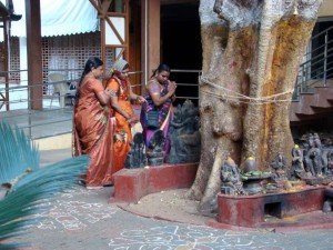 Siūlai, aprišti apie Pipal medį (Maisoras, Karnatakos valstija, Indija) | Alkas.lt, R. Balkutės nuotr.
