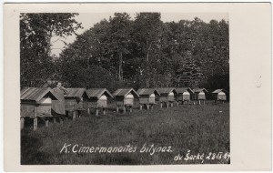 4. K. Cimermanaitės bitynas. Šarkės dvaras, 1929-09-28. Nuotrauka iš asmeninės Petro Kaminsko kolekcijos.