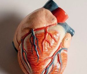 širdies širdies sveikatos apžvalgos