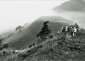 Etninės kultūros globos tarybos pirmininkė paragino Seimą išsaugoti Rasos (Joninių) šventę