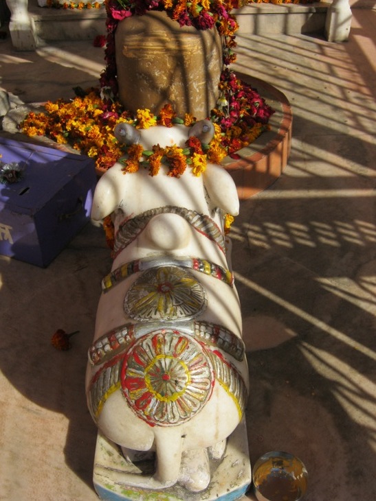 Saulės ženklas ant švento jaučio Saulės šventykloje Čitore