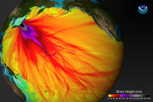 Šiame modelyje pateikiamas Ramiojo vandenyno paviršiumi keliavusios cunamio bangos aukštis. Įdomu yra tai, kad pakrančių ruožai (pvz., Šiaurinėje Kalifornijoje) pažymėti „pavojingesnėmis“ spalvomis – mat seklesnėse vietose ir pakrantėje cunamio banga lūžta ir pasiekia didesnį aukštį nei atvirame vandenyne. ©NOAA  