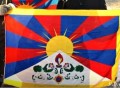 „Už Tibetą“, freetibet.lt, V.Digimo nuotr.