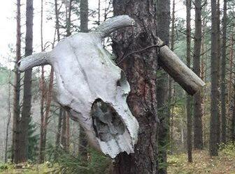 Velniakampio piliakalnyje, Vilniaus r. | lietuvai.lt nuotr.