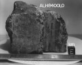 Meteoritas ALH84001. NASA nuotr.
