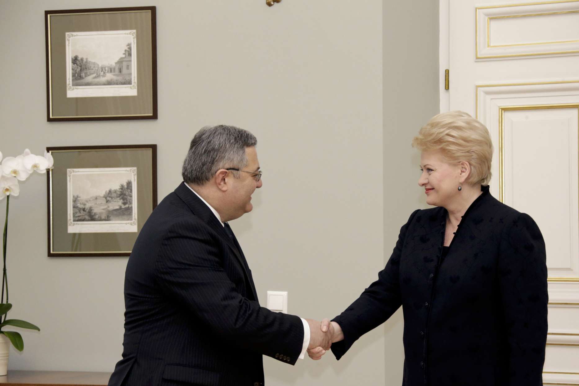Dalia Grybauskaitė priėmė Gruzijos parlamento pirmininką Davidą Usupašvilį | lrp.lt, Dž.G.Barysaitės nuotr.