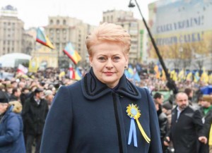 Dalia Grybauskaitė Maidane, 2015-02-22 | lrp.lt nuotr.