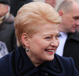 Dalia Grybauskaitė | Alkas.lt, A.Sartanavičiaus nuotr.