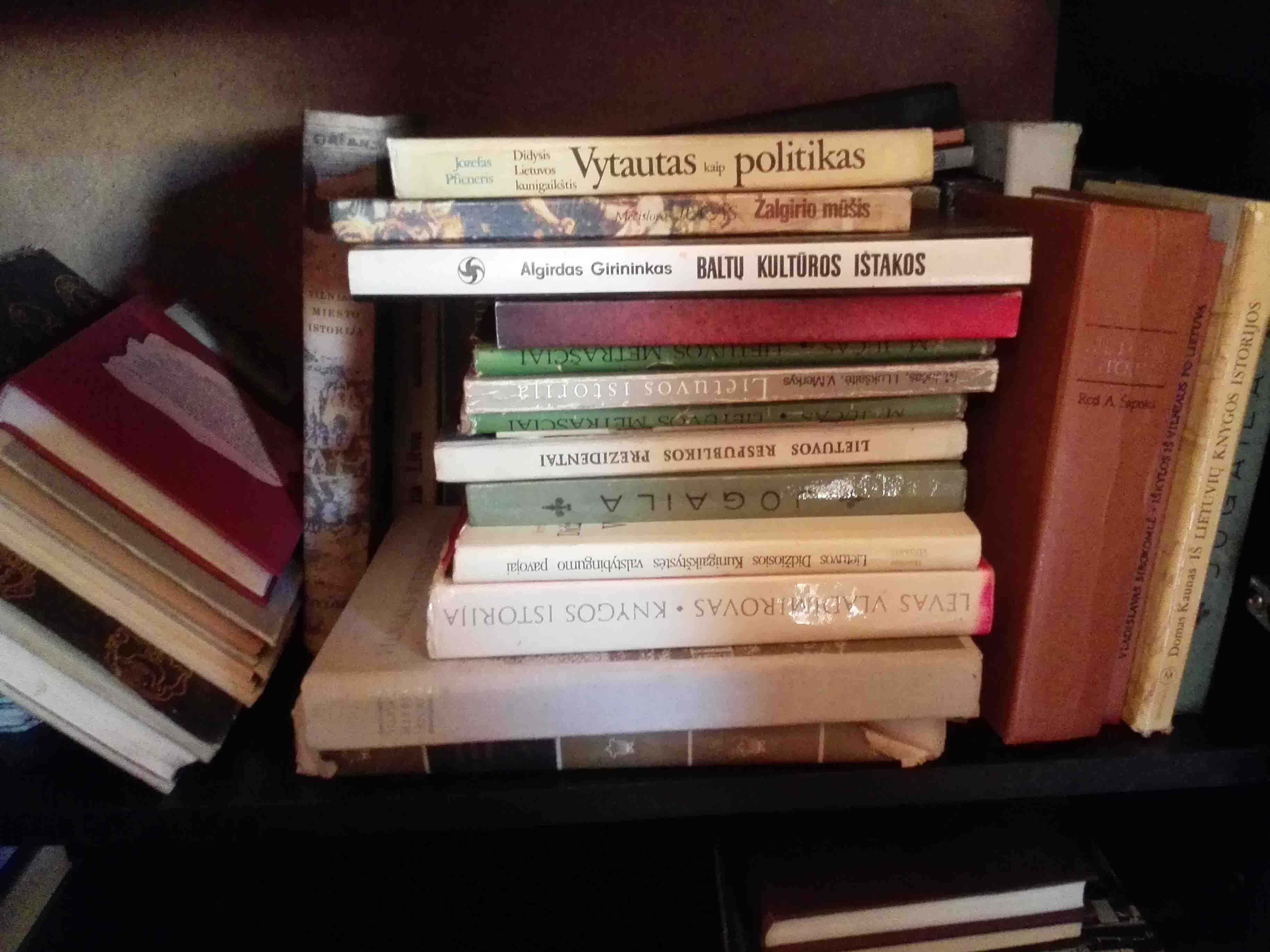 salon Hassy Prescribe Kaip išsaugoti lietuviškų knygų skaitomumą? | Alkas.lt