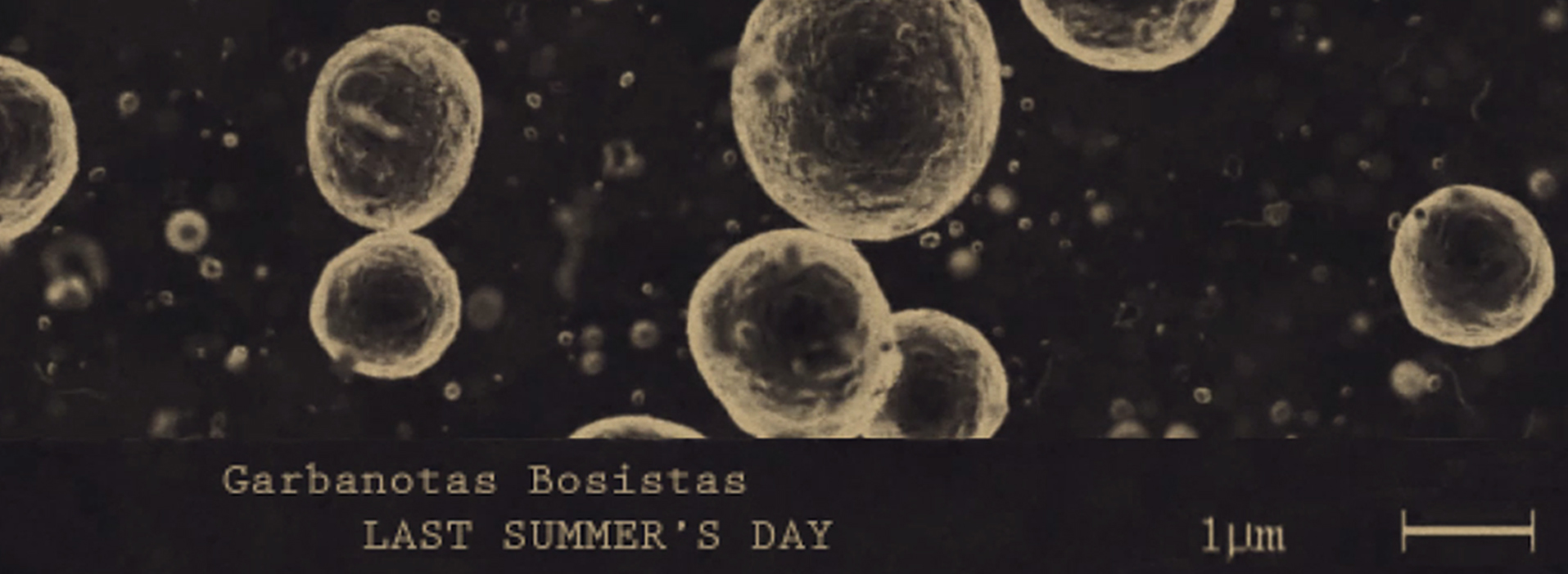  „Paskutinė vasaros diena“ („Last Summer's Day“) dainos muzikinis vaizdo įrašas | Rengėjų nuotr.