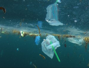 Plastikas Okeane | AP nuotr., EP