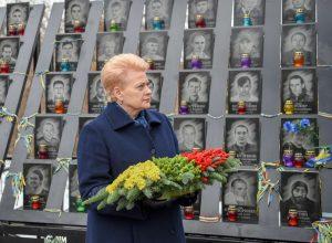 Prezidentė D. Grybauskaitė Kijeve išreiškė Lietuvos paramą Ukrainai | lrp.lt, R. Dačkaus nuotr.