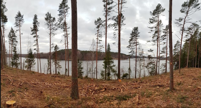 Ilgiausio Lietuvos ežero Aiseto pakrantė. Aiseto kraštovaizdžio draustinis. Labanoro regioninis parkas | M.Kaukėno nuotr.