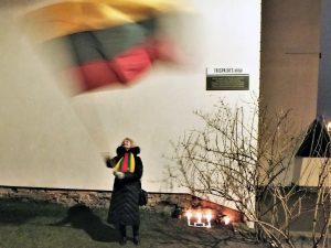 Policija sulaikė aktyvią K. Škirpos gynėja už mojavimą tautine vėliava | V. Sankirtos nuotr.