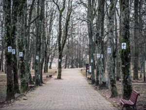 Visuomenininkai ant kirtimui pažymėtų medžių pakabino plakatus su kryžiumi ir užrašu „Už Gargždų parko medžių išsaugojimą!“ | Rengėjų nuotr.