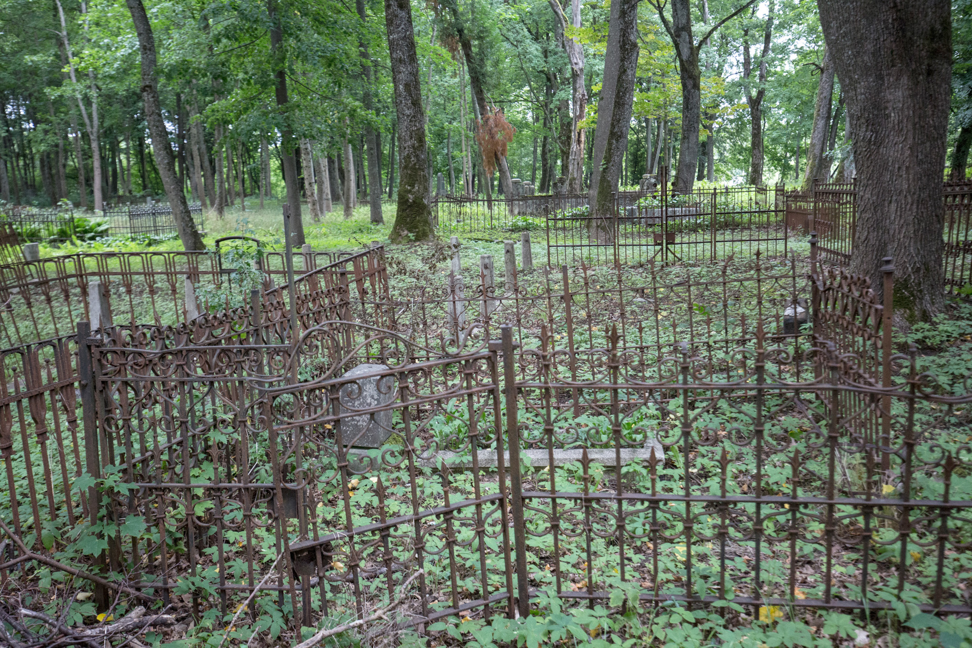  Mažajai Lietuvai būdingi lieto metalo kryžiai ir tvorelės | Autorės nuotr.
