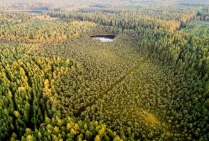 Rengiamas trečiasis miškų politikai skirtas aptarimas | lrv.lt nuotr.
