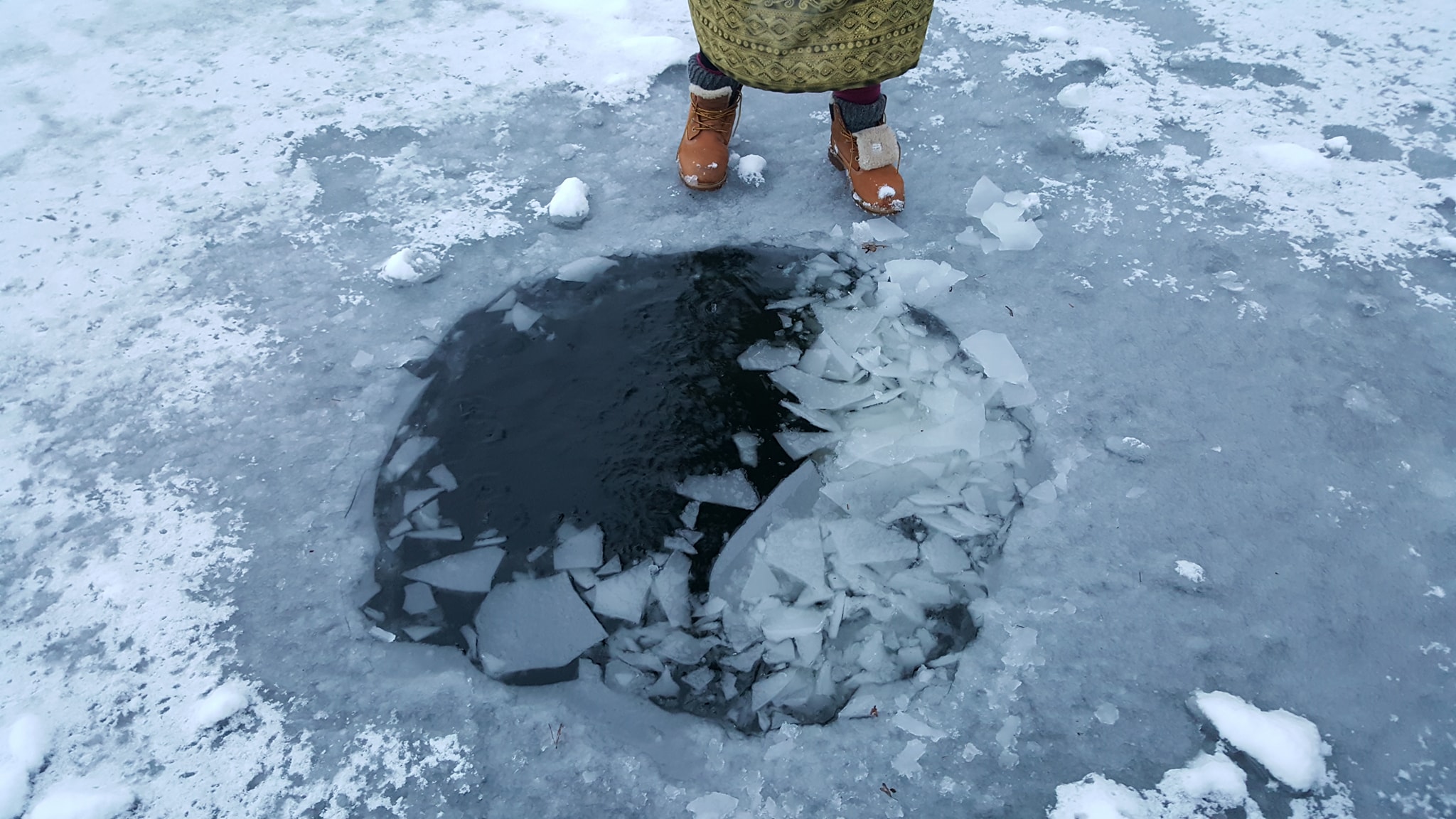 „Ledinės nuotraukos“ varžytuvėse dalyvaujanti nuotrauka | LSS ir asmeninio archyo nuotr.