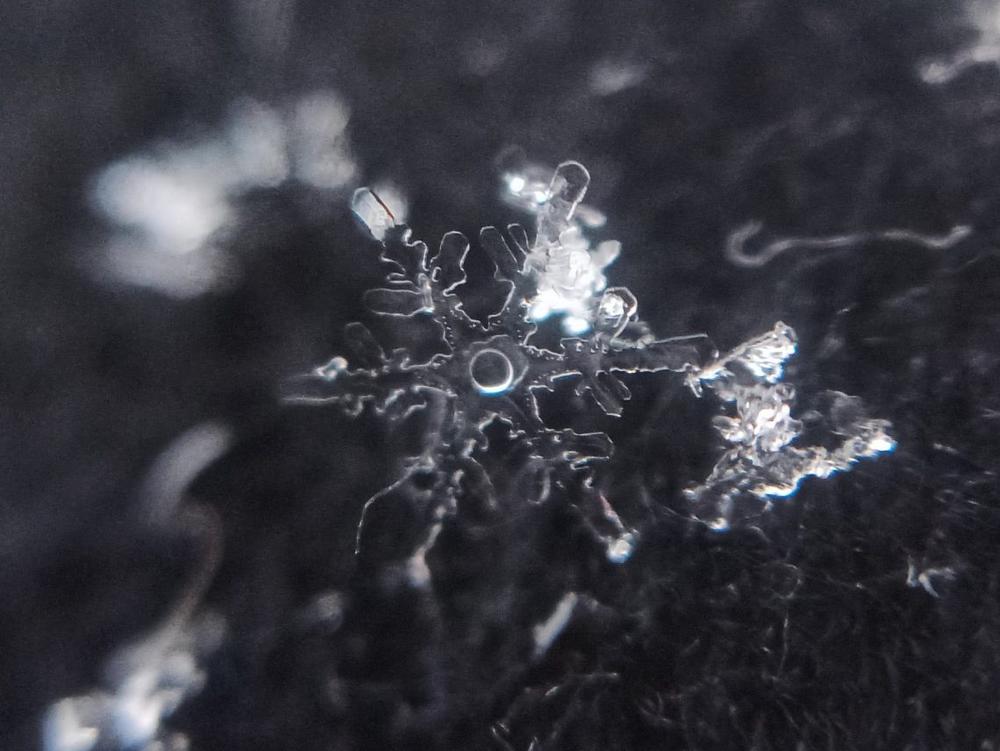 Kaip nufotografuoti snaigę su telefonu? Štai ką turite žinoti