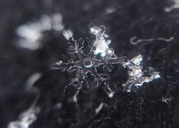 Kaip nufotografuoti snaigę su telefonu? Štai ką turite žinoti