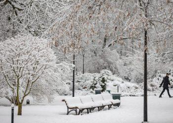Parkų takai barstomi kitaip nei šaligatvių
