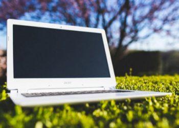 Kuriama vieninga biologinės įvairovės informacinė sistema