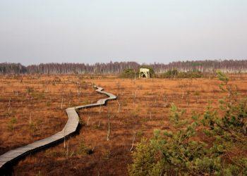 Aukštumalos pelkė | vstt.lt nuotr.