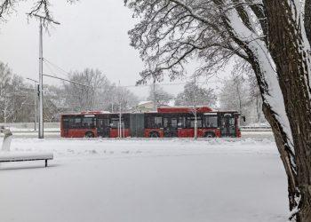 Kai kurie autobusai ir troleibusai sostinėje važinės dažniau