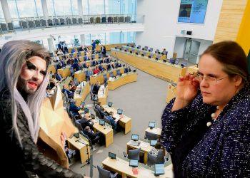 Agnė Širinskienė Seimo etikos komisijai apskundė ekscentriškojo T.V. Raskevičiaus elgesį