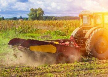 Smulkūs ūkininkai | Shutterstock nuotr.