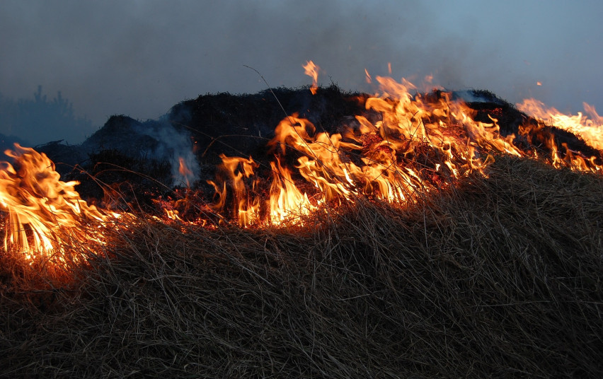 Žolės gaisrai gamtai daro ypač didelę žalą | lrv.lt nuotr. 