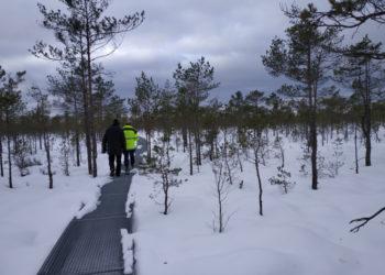 Atnaujintas Artosios pelkės mokomasis takas