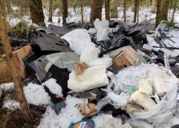 Stabdykime miško teršimą automobilių atliekomis