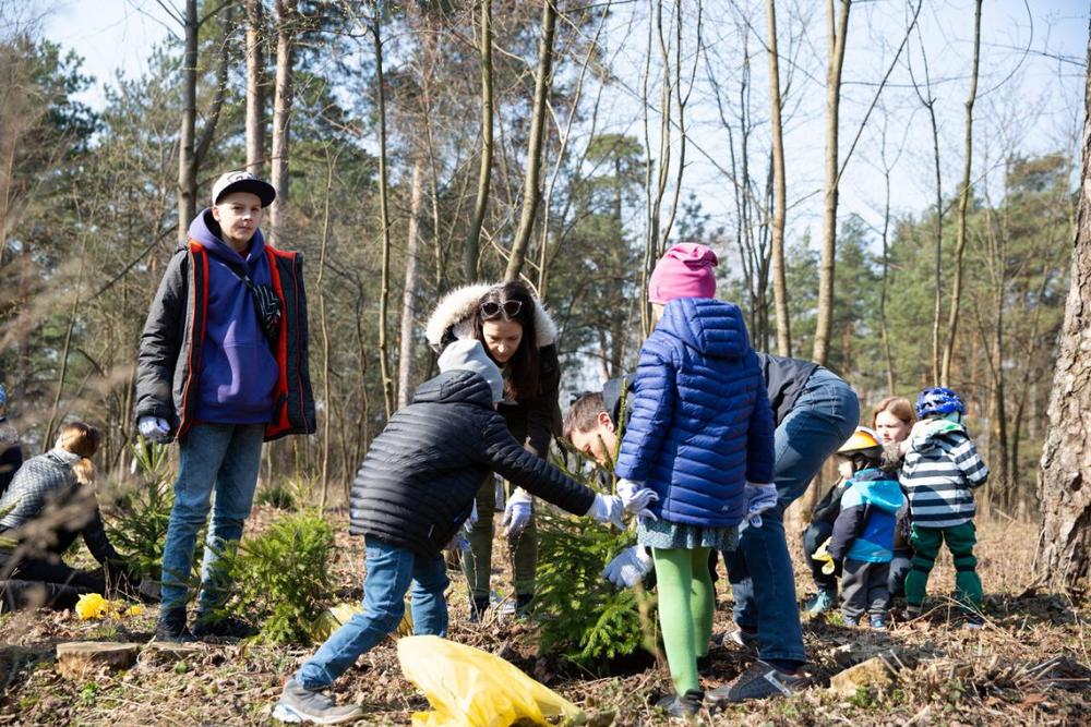 Dovana Vilniui – beveik 500 medžių