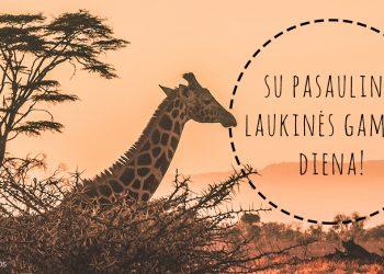Kovo 3-ioji – Pasaulinė laukinės gamtos diena (video)