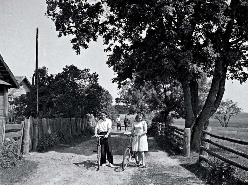 Ž. Šaknys. Geriausi ir blogiausi metai…