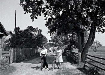 Ž. Šaknys. Geriausi ir blogiausi metai…