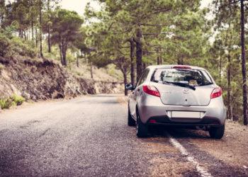 Ką reikia žinoti vykstant automobiliu į saugomas teritorijas?