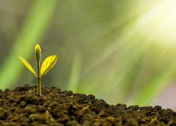 Geros žinios ekologiškai ūkininkaujantiems