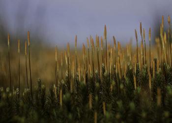 Pataisai | am.lrv.lt nuotr.