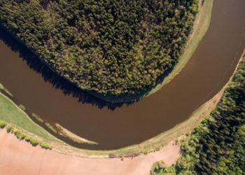 Stabdoma medžioklė Punios šile