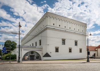 Mėnuo po muziejų atidarymo: ar žmonės pasiilgo kultūros?