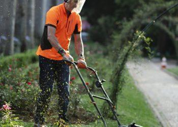 Išsirinkti vejapjovę – nelengva užduotis