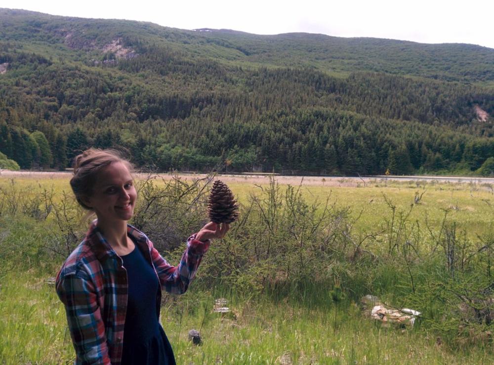 Miškų naikinimas skatina virusų plitimą?