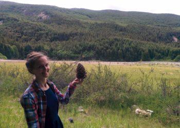 Miškų naikinimas skatina virusų plitimą?