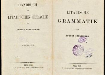 Nauja kultūros vertybių svetainė (video)